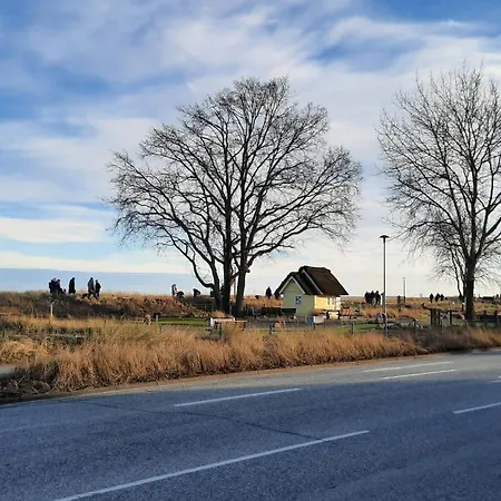 Seetempel 19 -preisreduziert Wegen Haussanierung -hunde Willkommen * Шарбойц