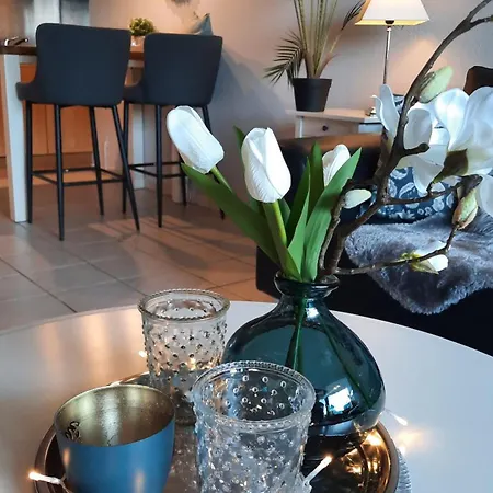 Seetempel 19 -preisreduziert Wegen Haussanierung -hunde Willkommen